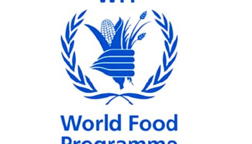 Head of Programme, Luanda, Angola-Job Ref. AO/WFP/2105/2504